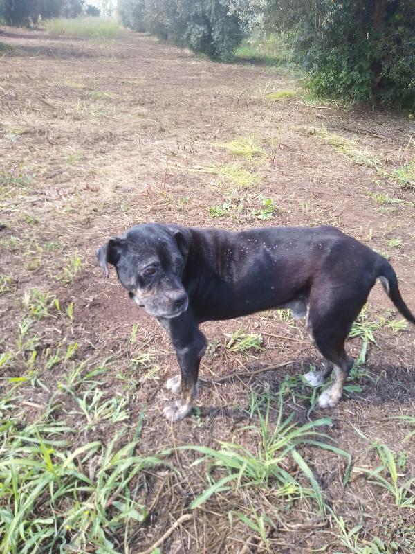💔 Igor ha perso il suo angelo custode, ora rischia di restare solo 💔 Foto 4
